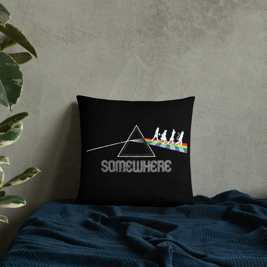 Somewhere Past the Dark Side Album Pillow